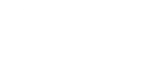 BDFurnitureDecor logo